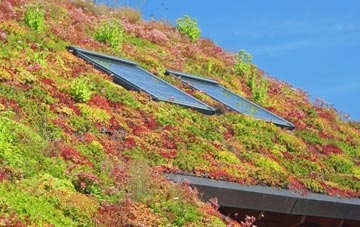 Rosehill living roof systems